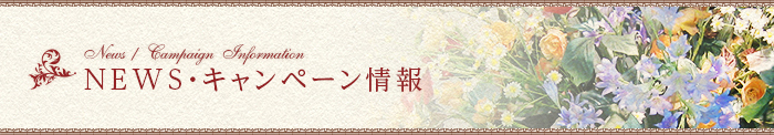 NEWS・キャンペーン情報